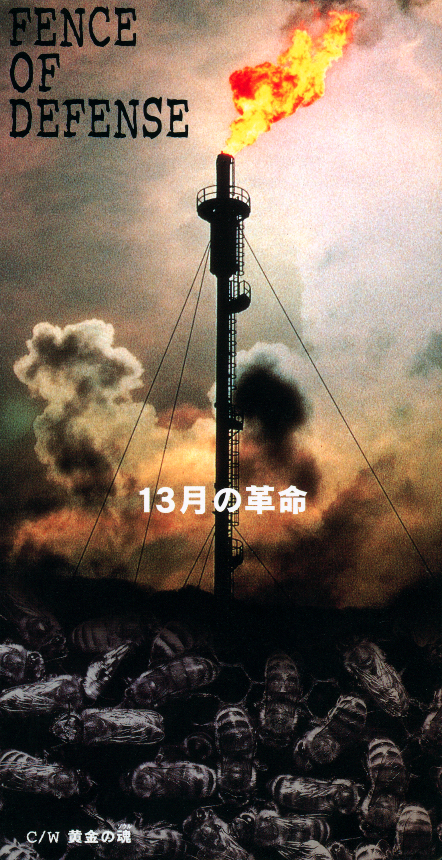 13月の革命