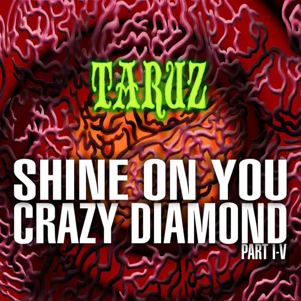Listen to Shine On You Crazy Diamond (Part I-V)